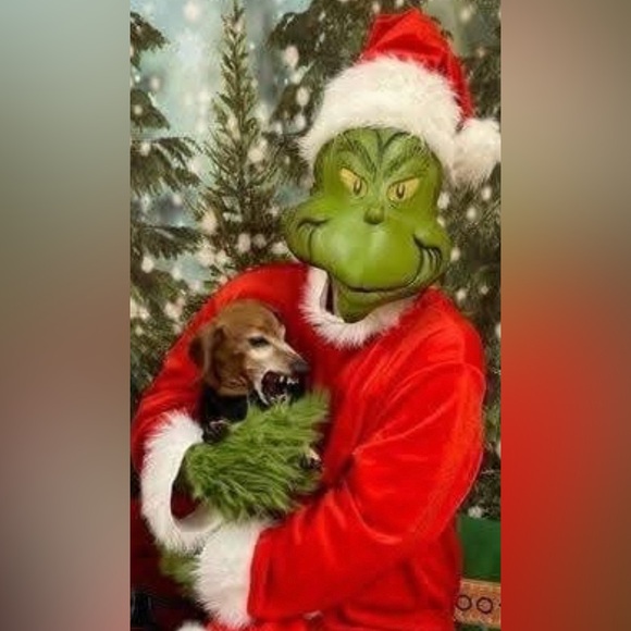 Meet your Posher, Michelle - Picture 2 of 10